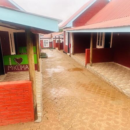 Mkomazi Hotels And Camps Hegoma Exterior photo