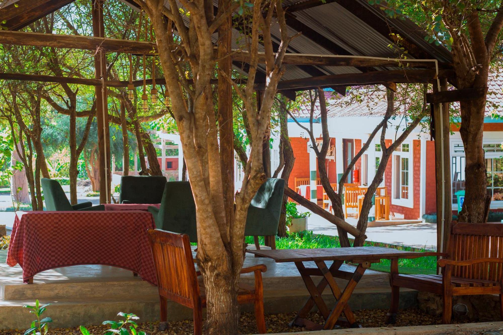 Mkomazi Hotels And Camps Hegoma Exterior photo