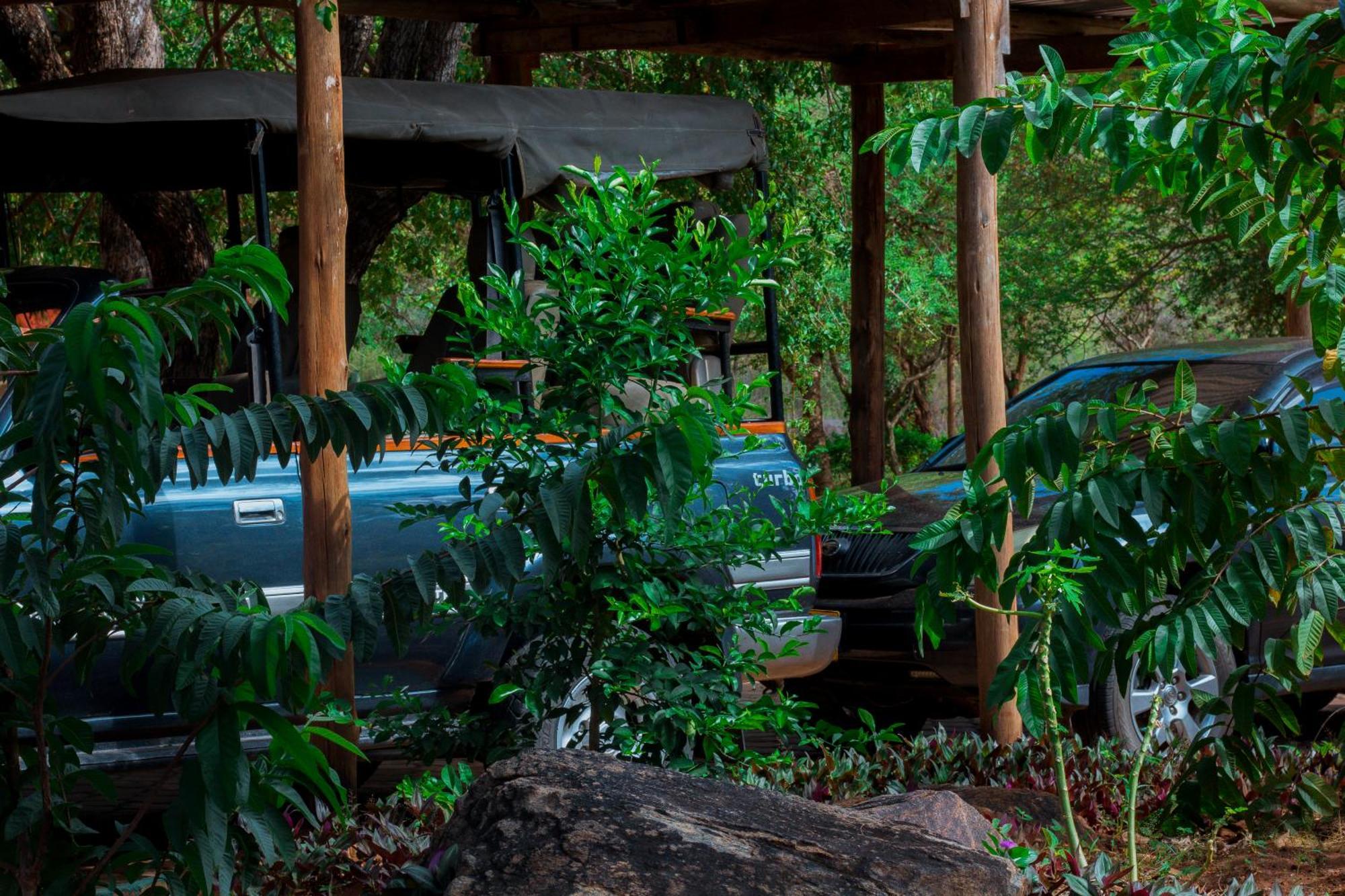 Mkomazi Hotels And Camps Hegoma Exterior photo