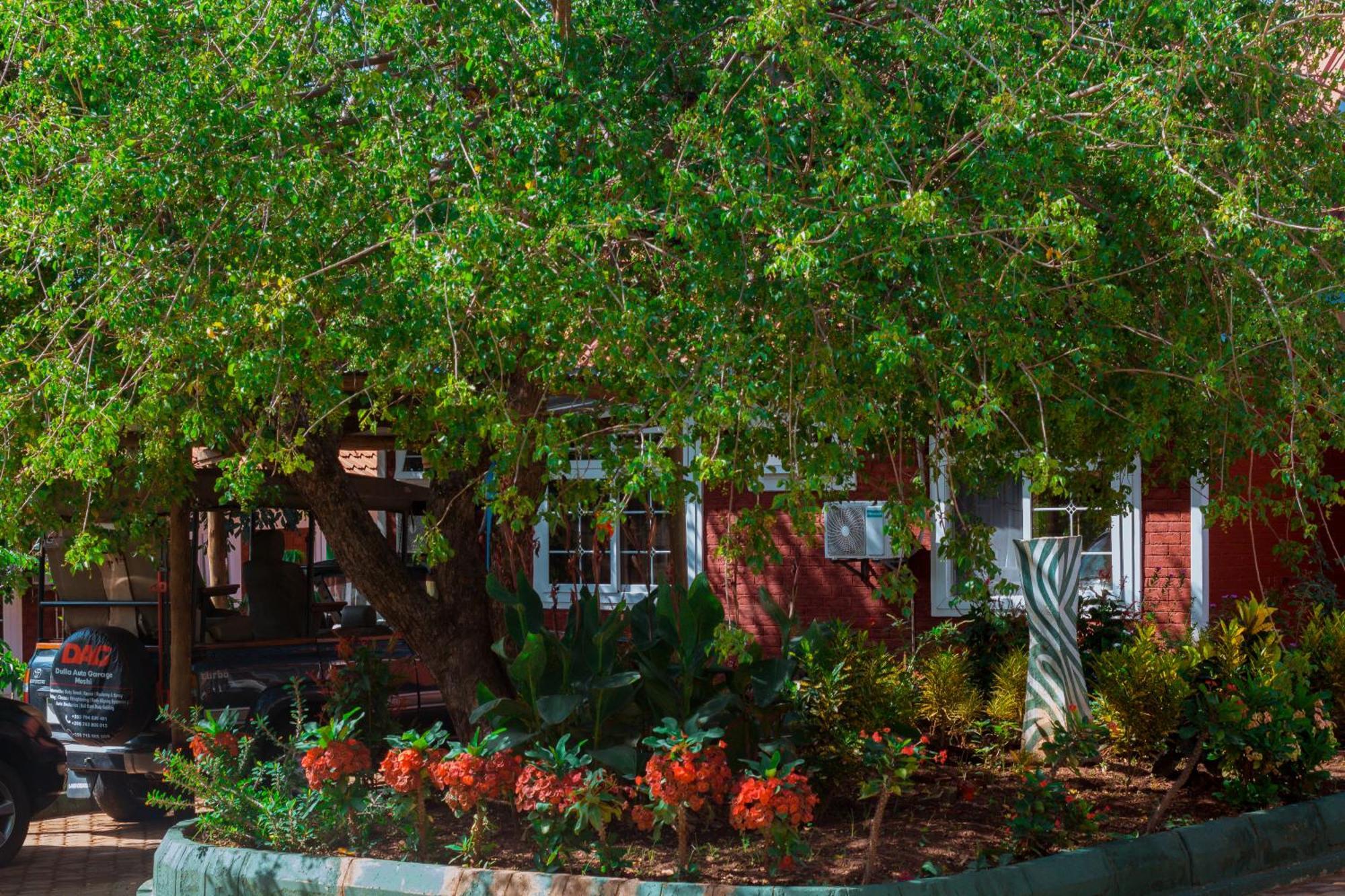 Mkomazi Hotels And Camps Hegoma Exterior photo